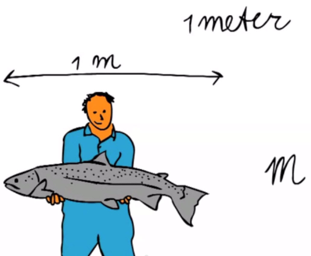 Rekenen groep 4: Lengtematen 1 - Meter en centimeter